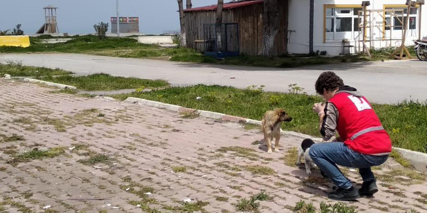 GENÇ KIZILAY GÖNÜLLÜLERİ MAMA DAĞITTI