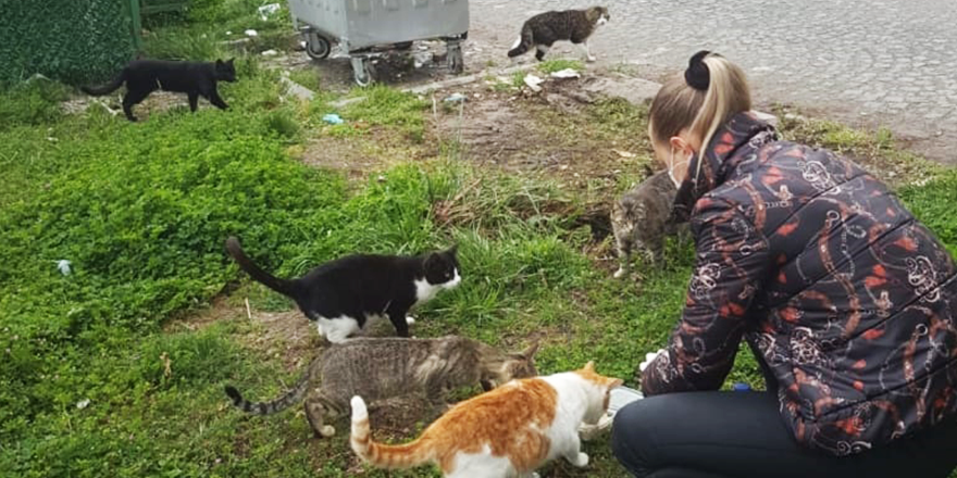 SOKAK HAYVANLARININ DOSTU OLDU