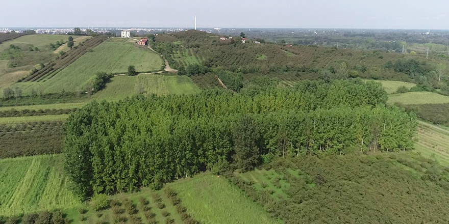 ÇARŞAMBA OVASI'NDA ÜRETİM DEVAM EDİYOR