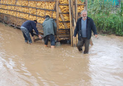 Bafra, sular altında