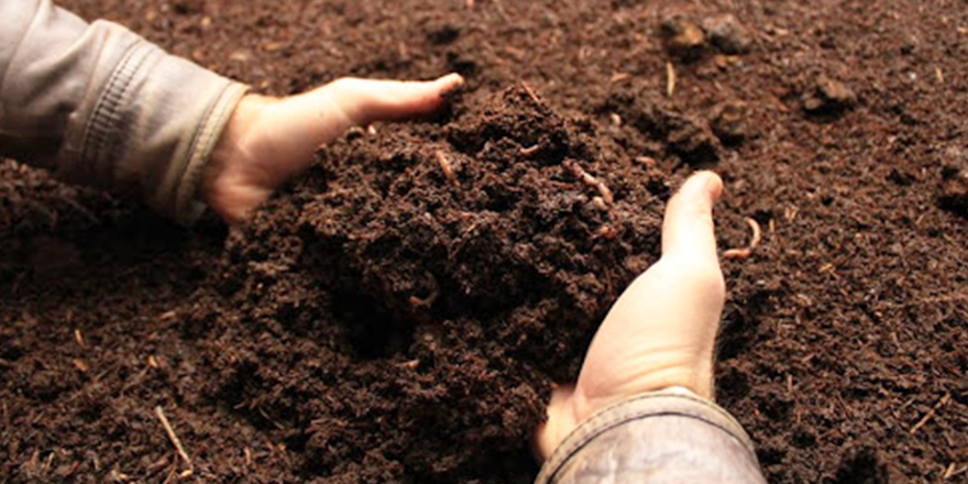 ORGANİK GÜBRE DESTEĞİ ÖDEMELERİ BAŞLADI