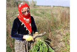 Hayalleri suya düştü