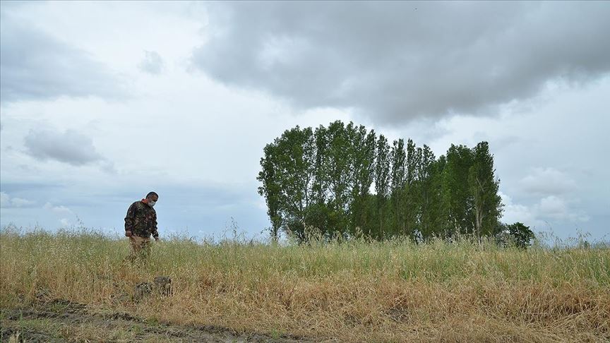 FOTOKAPANLARA ÇAKAL VE TİLKİLER TAKILDI