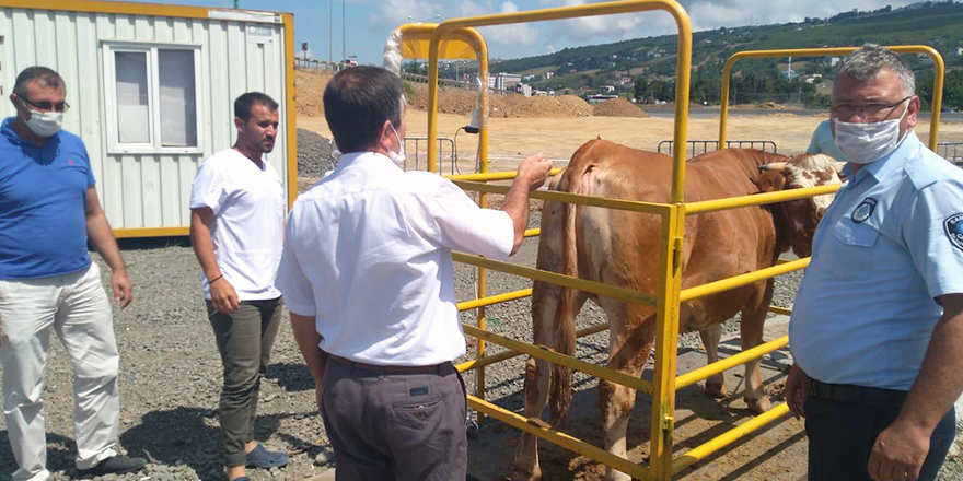 HAYVAN PAZARLARINDA SIKI DENETİM