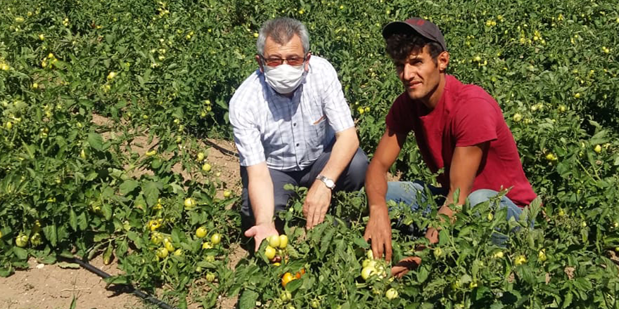 BÜYÜKŞEHİR'DEN ÇİFTÇİYE ALIM GARANTİLİ DESTEK