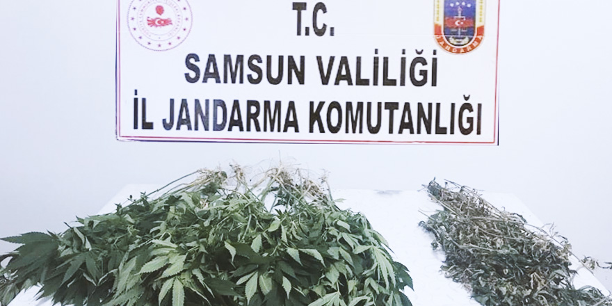 SAMSUN'DA UYUŞTURUCU OPERASYONU 2 GÖZALTI