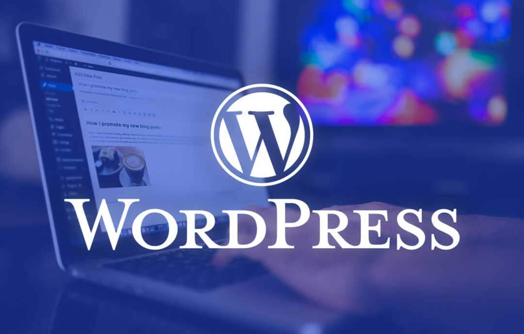 Wordpress Haber Temaları