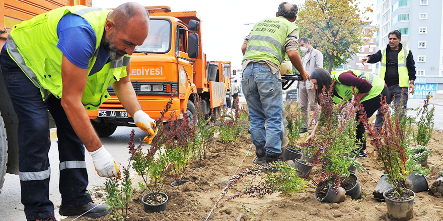 SAMSUN KIŞ PEYZAJIYLA RENGARENK OLACAK