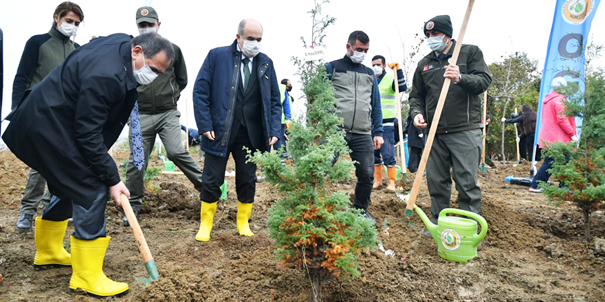 SAMSUN’DA MİLLİ AĞAÇLANDIRMA GÜNÜ