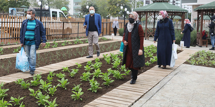 AtaTohum’da kışlık üretim sezonu başladı