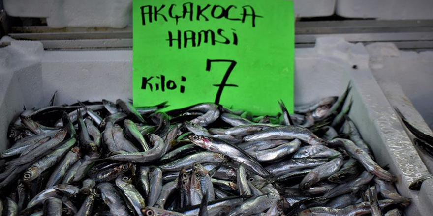 Kilosu 7 liraya düşen hamsiye büyük ilgi