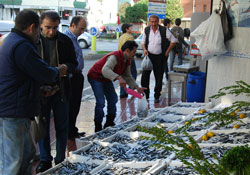 Balık fiyatları güldürdü