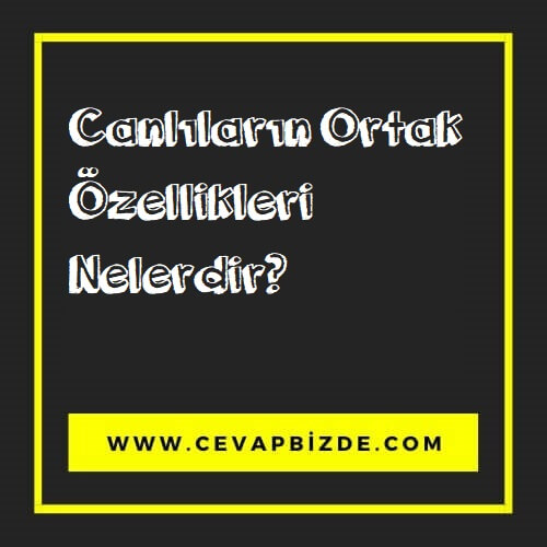 Canlıların genel özellikleri nelerdir?