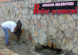 Bektaş, sözünü tuttu