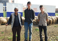 Bayrama hazırlıklar başladı