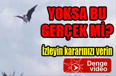 Bu da ne böyle!...