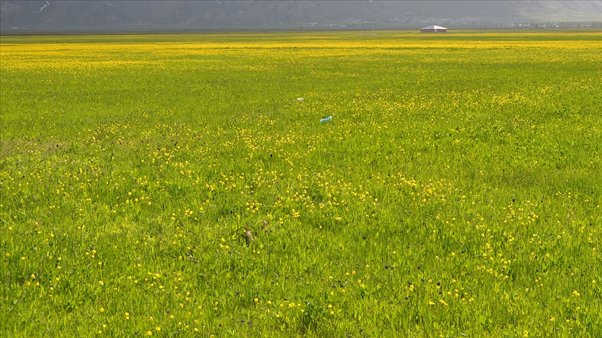 61 OVA 'BÜYÜK OVA KORUMA ALANI' OLARAK BELİRLENDİ