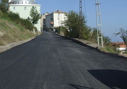 Bin 248 ton asfalt döküldü