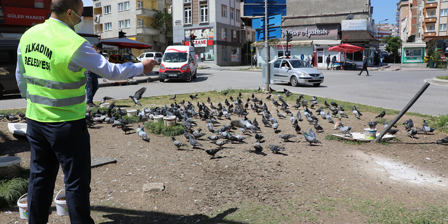 İLKADIM’DA HAYVAN SEVGİSİNE YASAK YOK