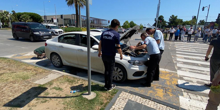 Aracın motoruna sıkışan kedi yavrusunu itfaiye kurtardı