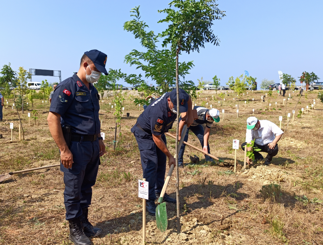 251 FİDAN TOPRAKLA BULUŞTURULDU