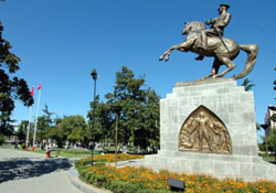 Samsunun argümanı yok!