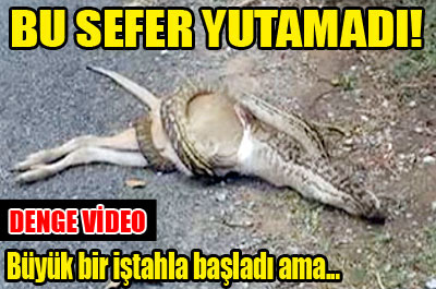 Bu sefer yutamadı!