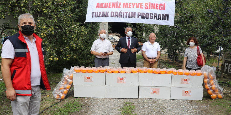 MEYVE ÜRETİCİLERİNE DESTEK VERİLDİ