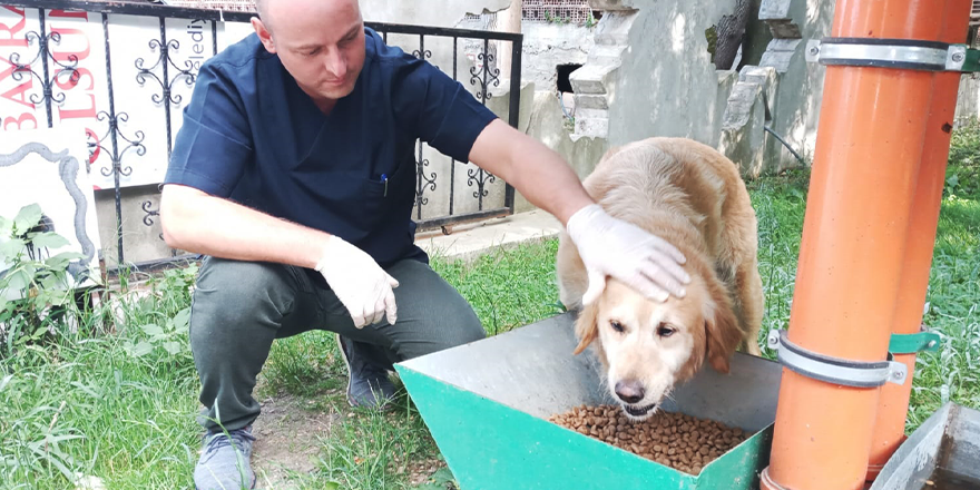 ATAKUM'DA CAN DOSTLARA MAMA VE SU DESTEĞİ