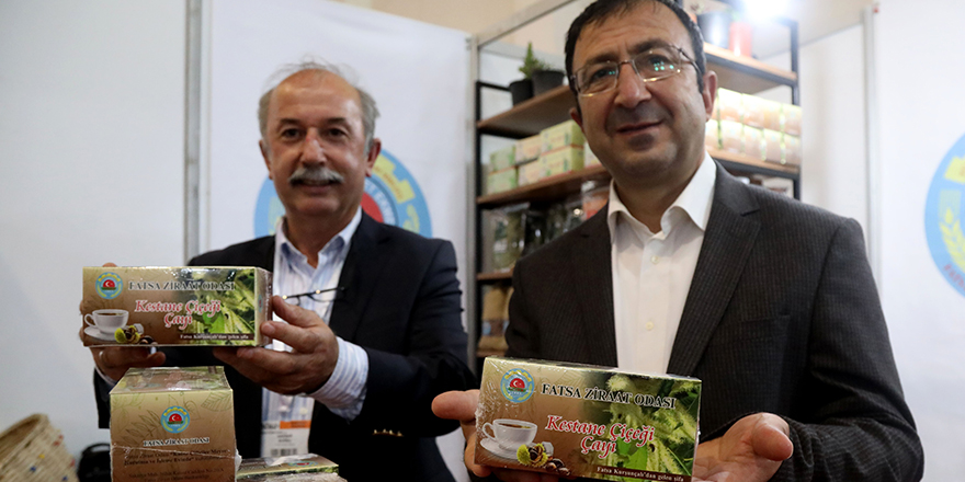 Kestane çiçeği çayının antioksidan seviyesi yüksek çıktı