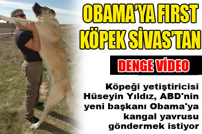 Obama'ya first köpek Sivas'tan ....