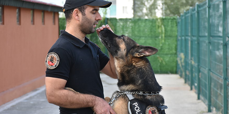 Samsun polisinin hassas burunlu yardımcısı