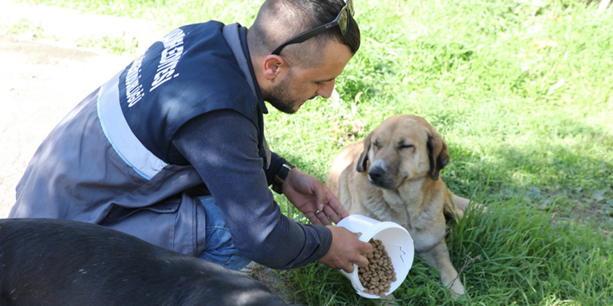 İLKADIM'DA SOKAK HAYVANLARINA MAMA DESTEĞİ