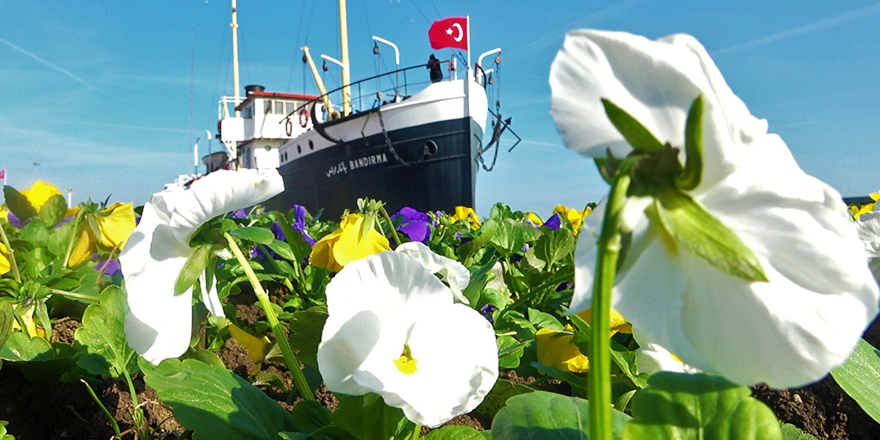 KENT GENELİNDE 650 BİN ÇİÇEK DİKİLECEK