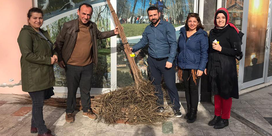 ÜRETİCİLERE 200 BİN FİDAN DAĞITILDI