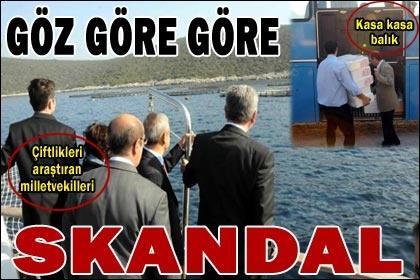 Çipura şahane çiftlik bahane
