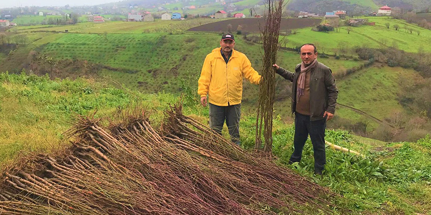 İKİ İLÇEDE ÜRETİCİLERE FİDAN DESTEĞİ VERİLDİ