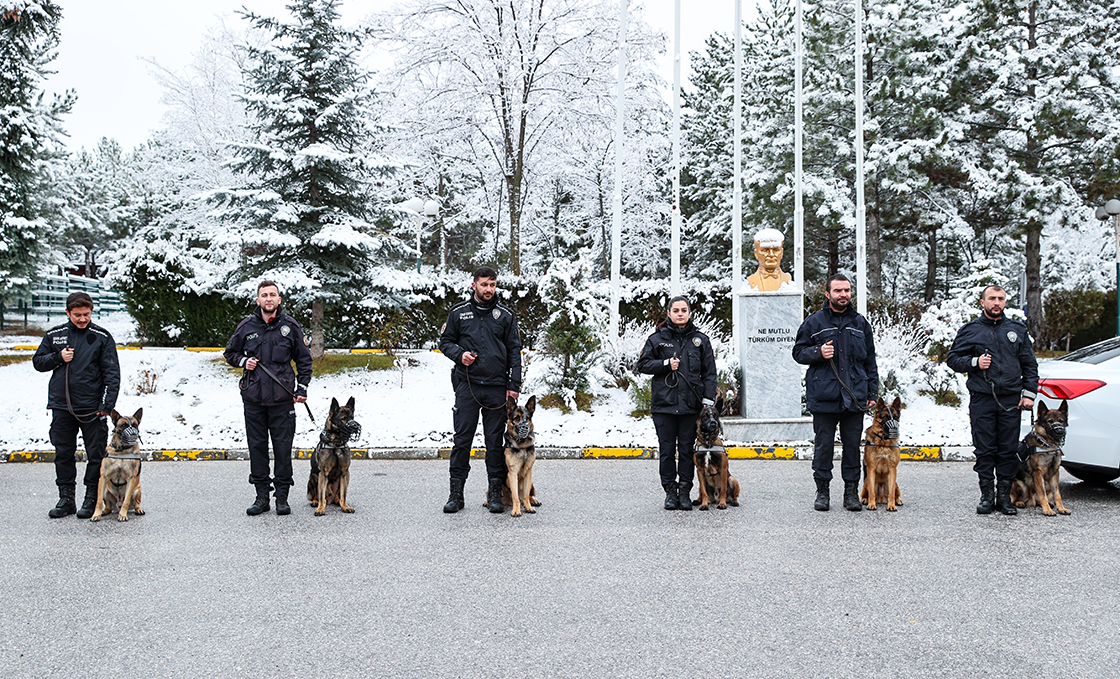OPERASYONLARIN 'GİZLİ KAHRAMANI' DEDEKTÖR KÖPEKLER