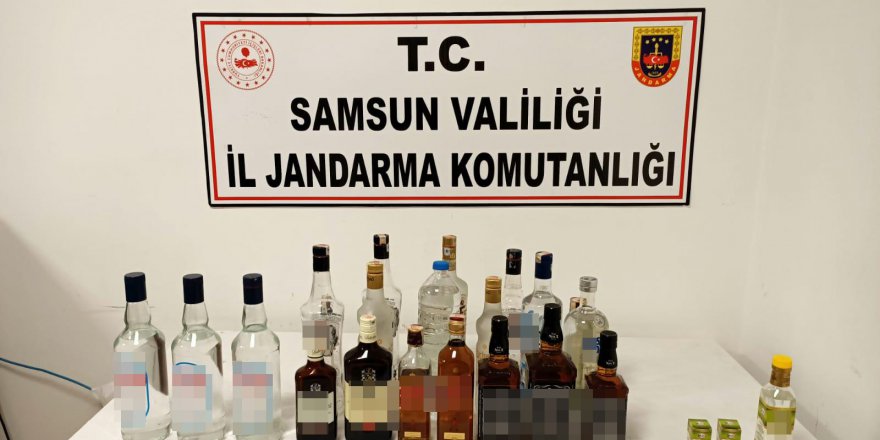 JANDARMA EKİPLERİNCE DÜZENLENEN OPERASYONDA 21 ŞÜPHELİ YAKALANDI