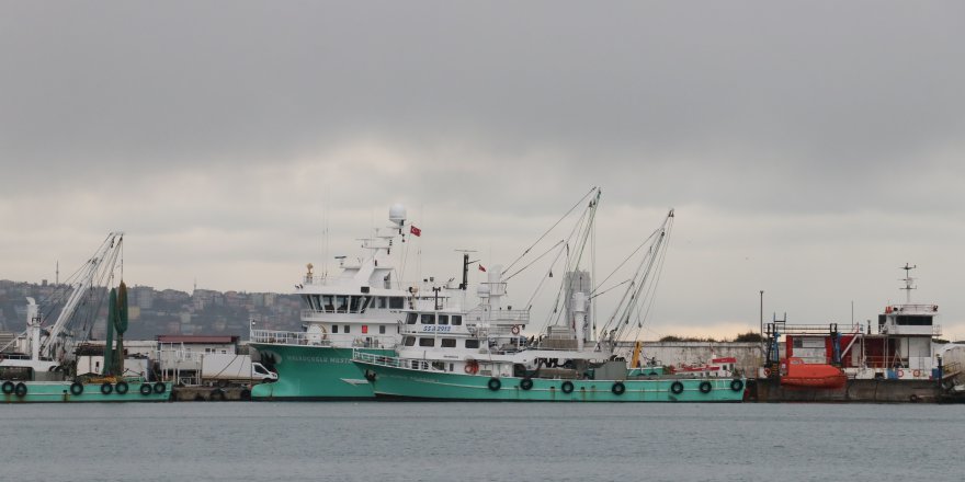 DÜŞMEYEN DENİZ SUYU SICAKLIĞI AVCILIĞI OLUMSUZ ETKİLİYOR