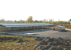 Hayvan borsası hizmete girdi