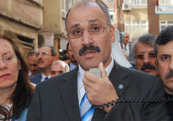 Özelleştirme tepkisi