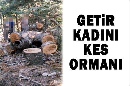 'Getir kadını, kes ormanı'