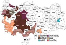 Özsüt'ten tatlı haritası