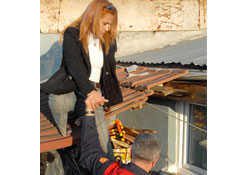 Çatı çatı kedi aradı