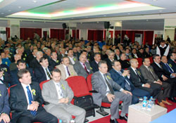 Kivi şenilği