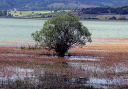 Kışın donan göle turist akacak