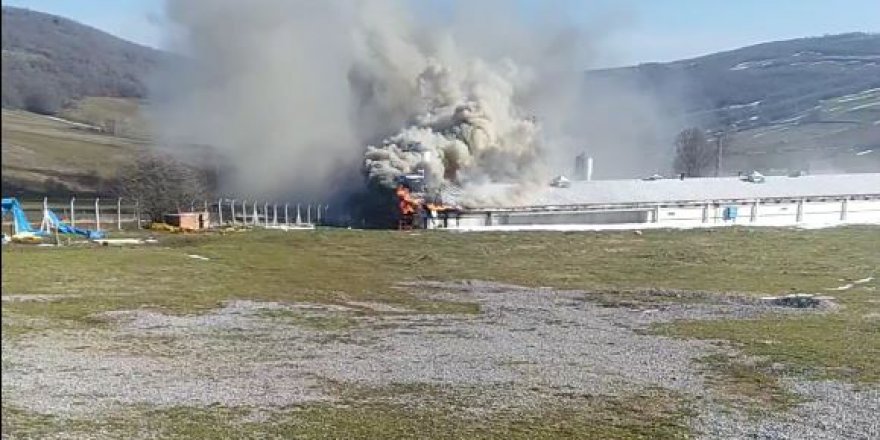 SAMSUN'DA TAVUK KÜMESİ KÜL OLDU