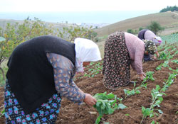 3 önemli yatırım