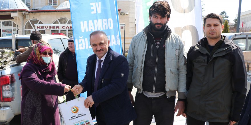 HAVZA'DA VATANDAŞLARA ÜCRETSİZ 3 BİN ÇAM FİDANI DAĞITILDI